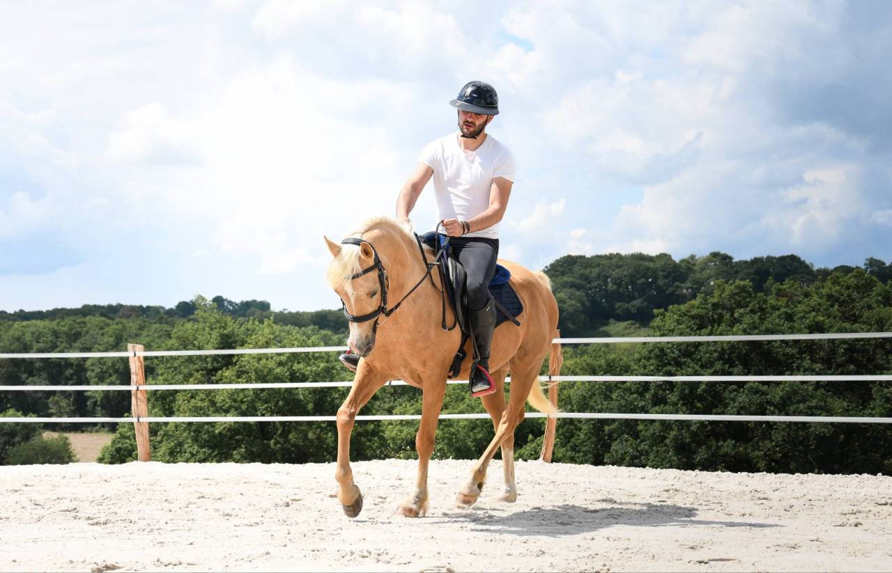 Ruin Andere pony rassen Te koop 2012 Palomino