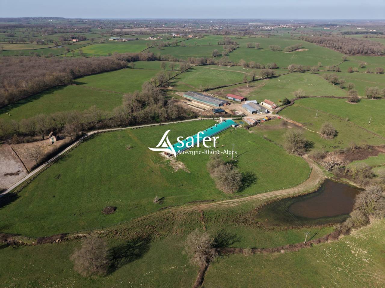 Kippen exploitatie Koop Allier