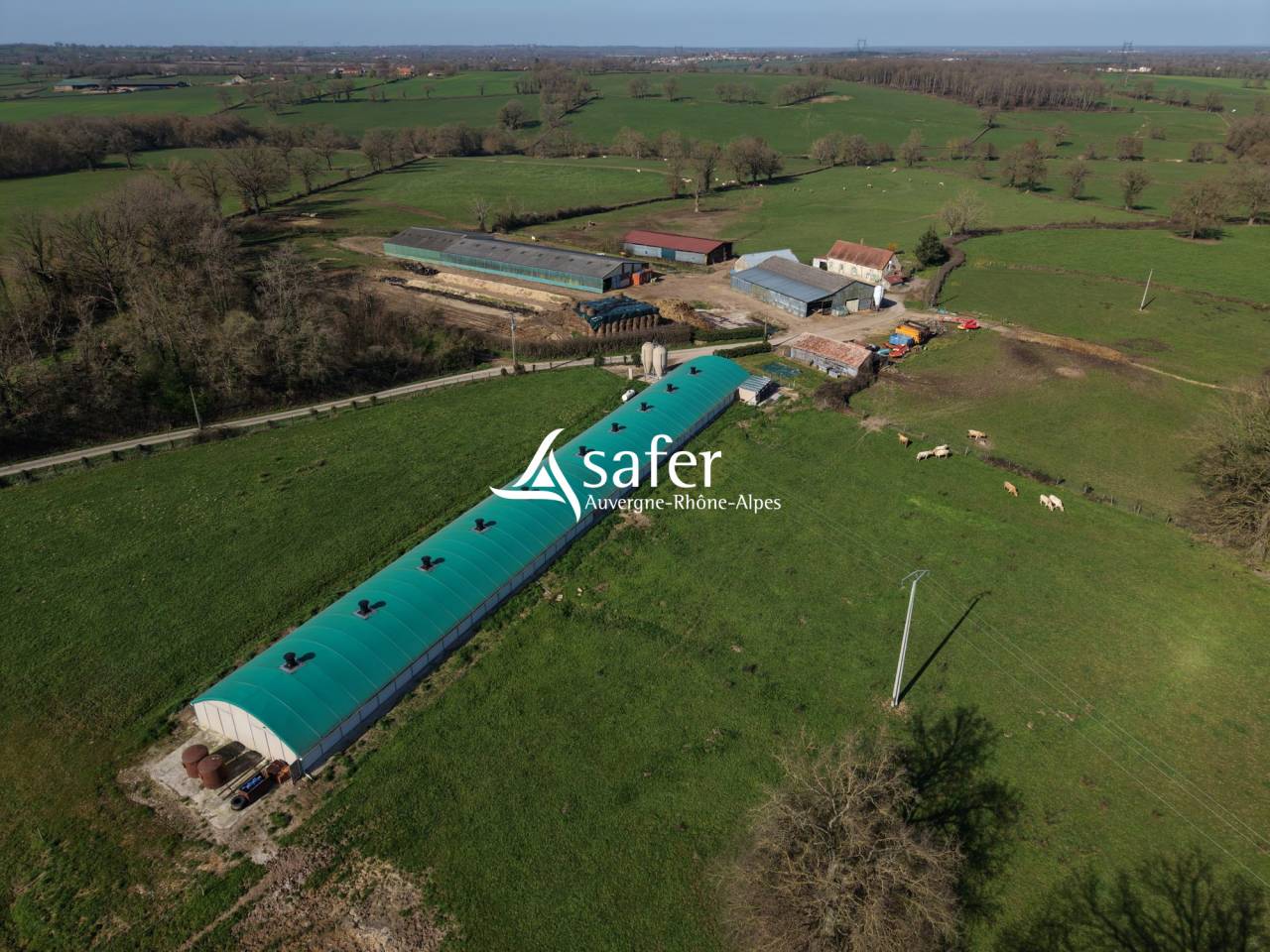 Kippen exploitatie Koop Allier