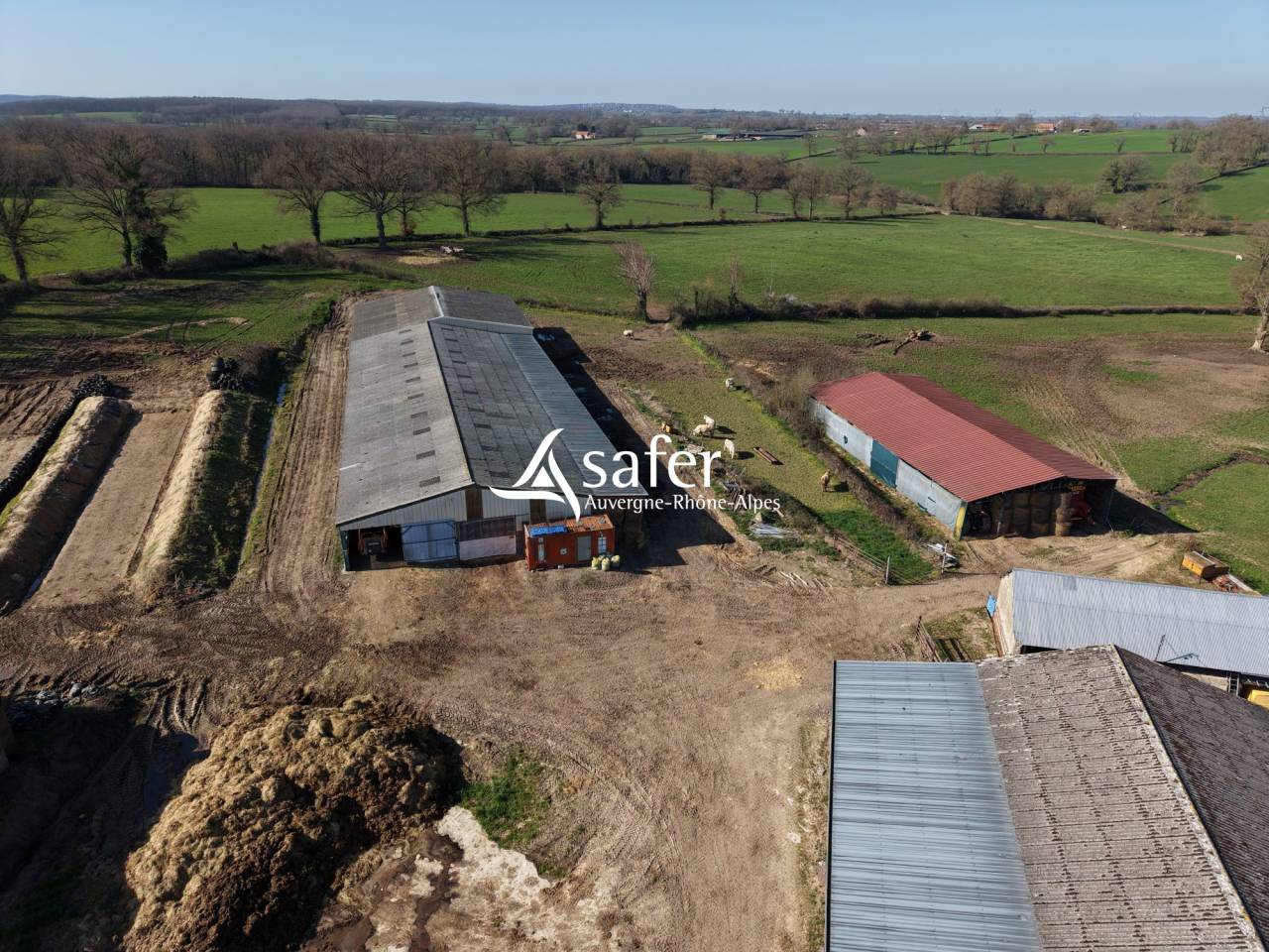 Kippen exploitatie Koop Allier