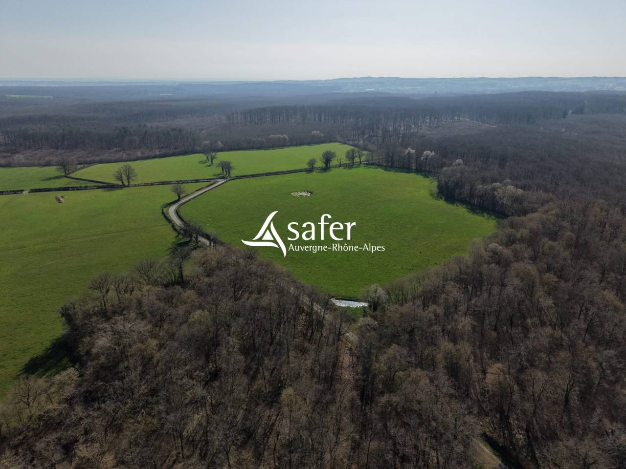 Kippen exploitatie Koop Allier