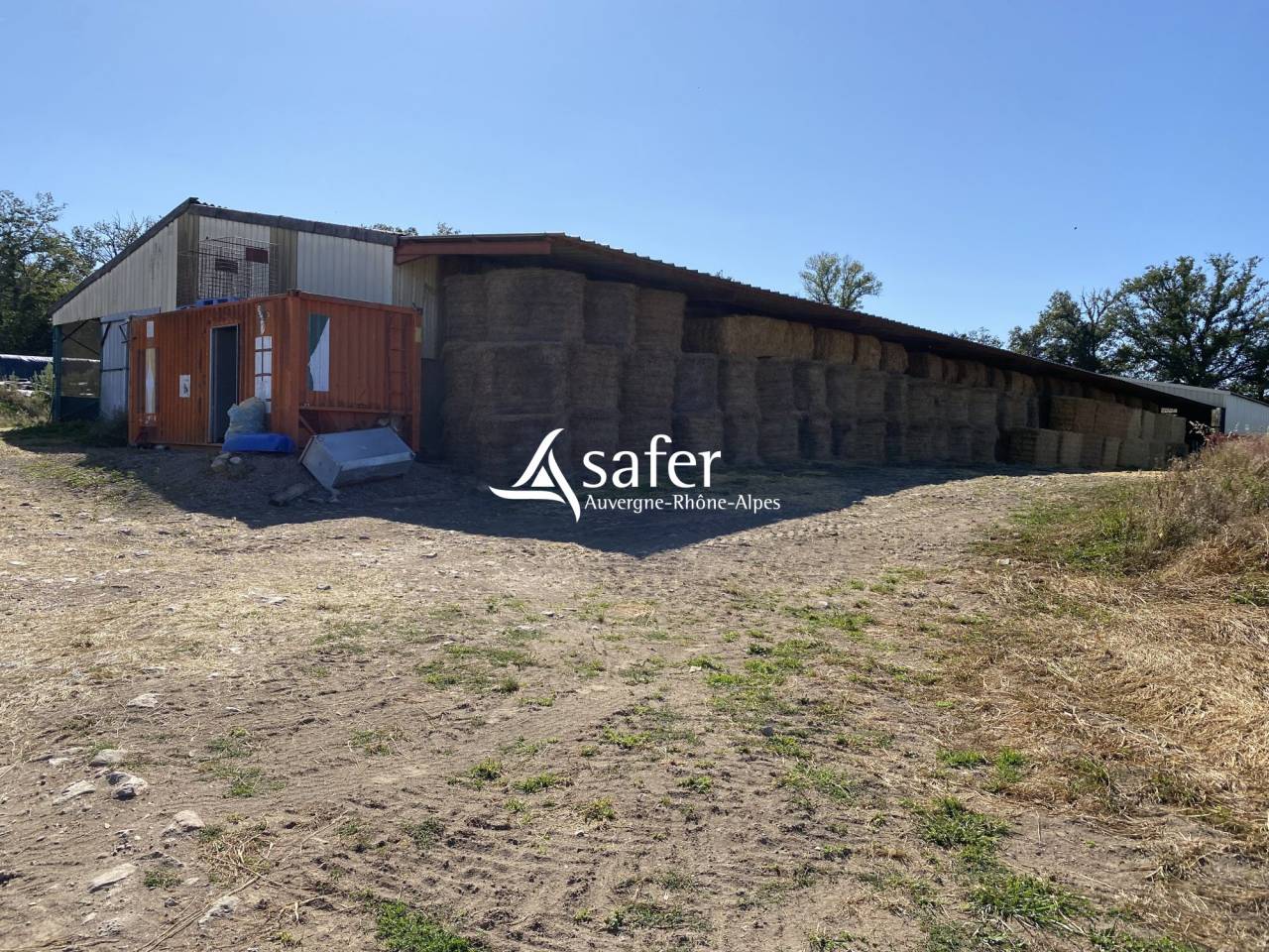 Kippen exploitatie Koop Allier