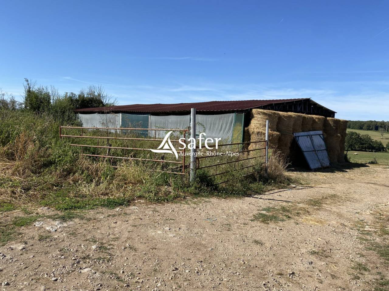 Kippen exploitatie Koop Allier