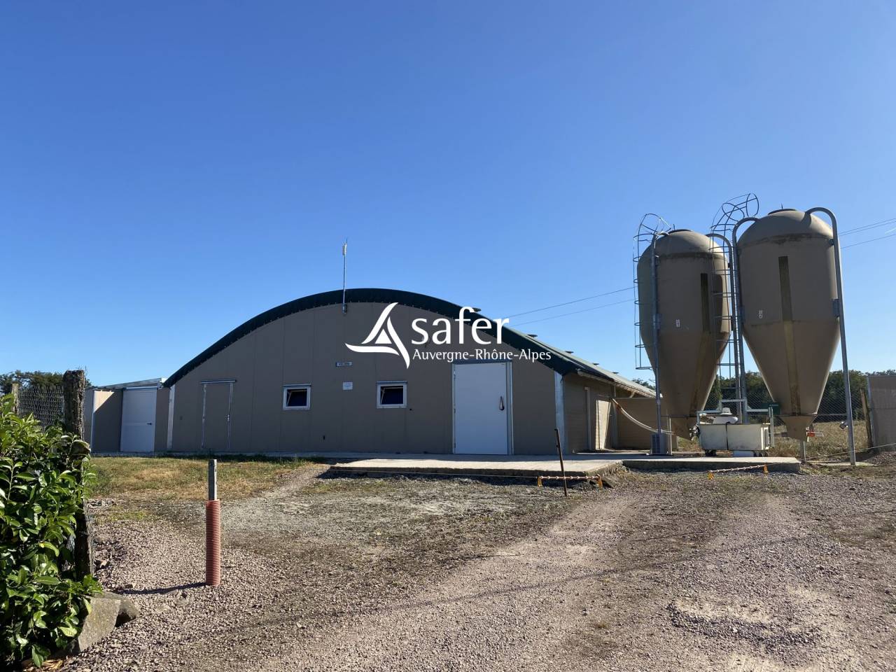 Kippen exploitatie Koop Allier