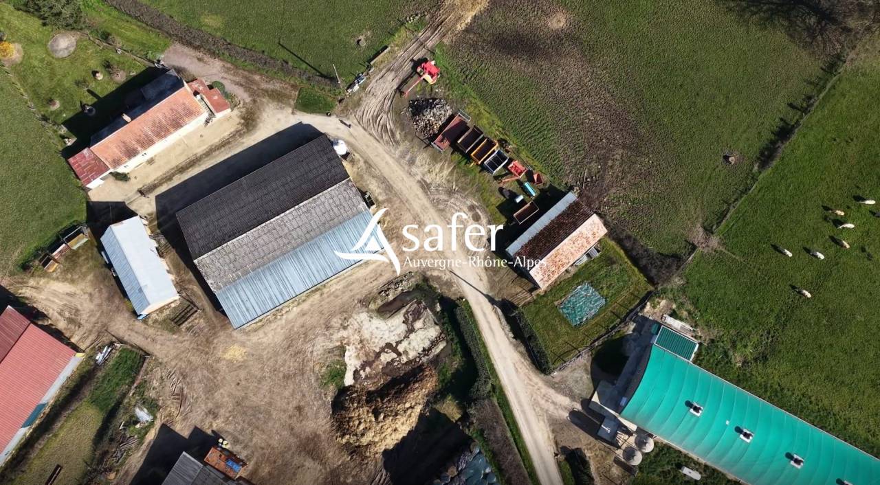 Kippen exploitatie Koop Allier