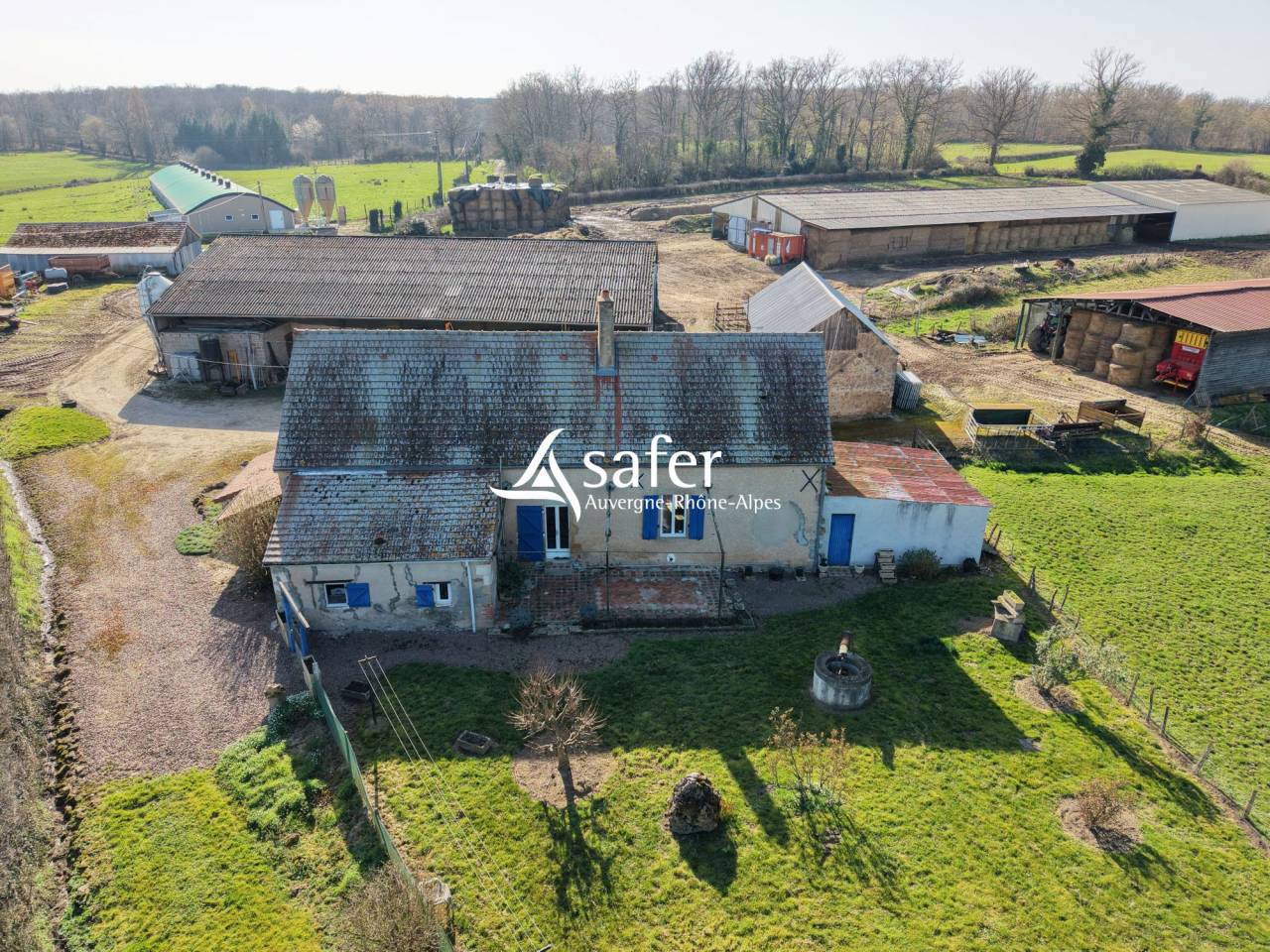Kippen exploitatie Koop Allier