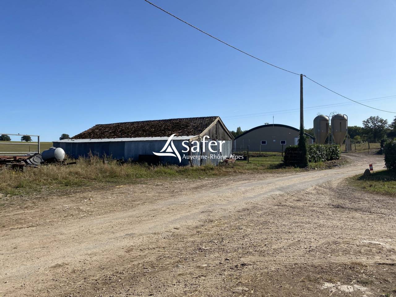 Kippen exploitatie Koop Allier
