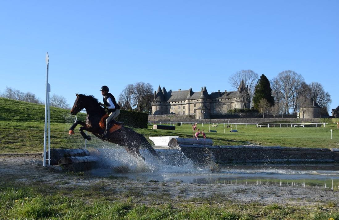Ruin Connemara Te koop 2012 Bruin / Bai ,  Vador Shadow du Gite, CO