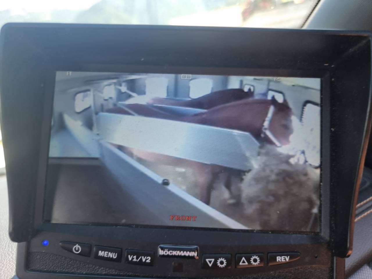 Paardentrailers Bockmann Traveller G3 3 Paarden 2018 Tweedehands