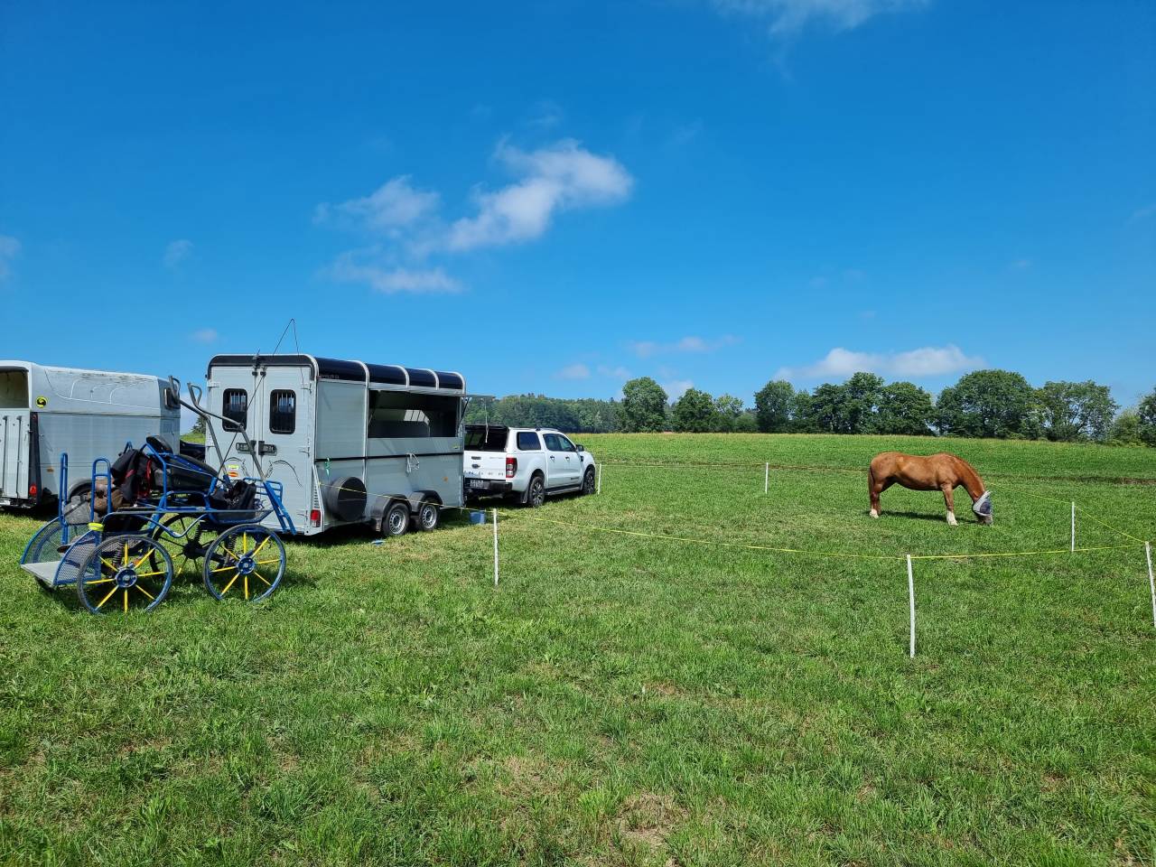 Paardentrailers Bockmann Traveller G3 3 Paarden 2018 Tweedehands