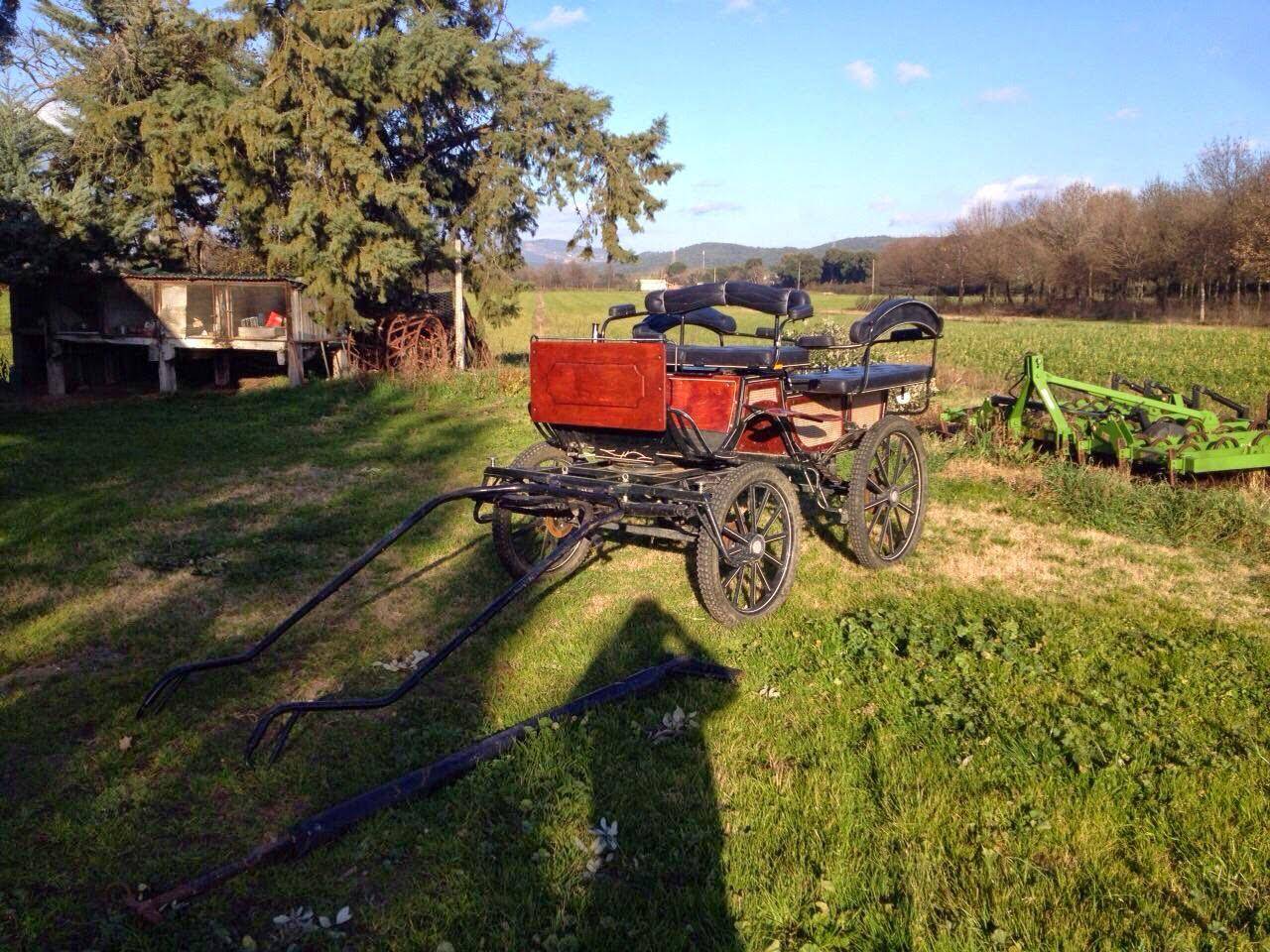 Rijtuigen - Fiacre - Ander merk -  