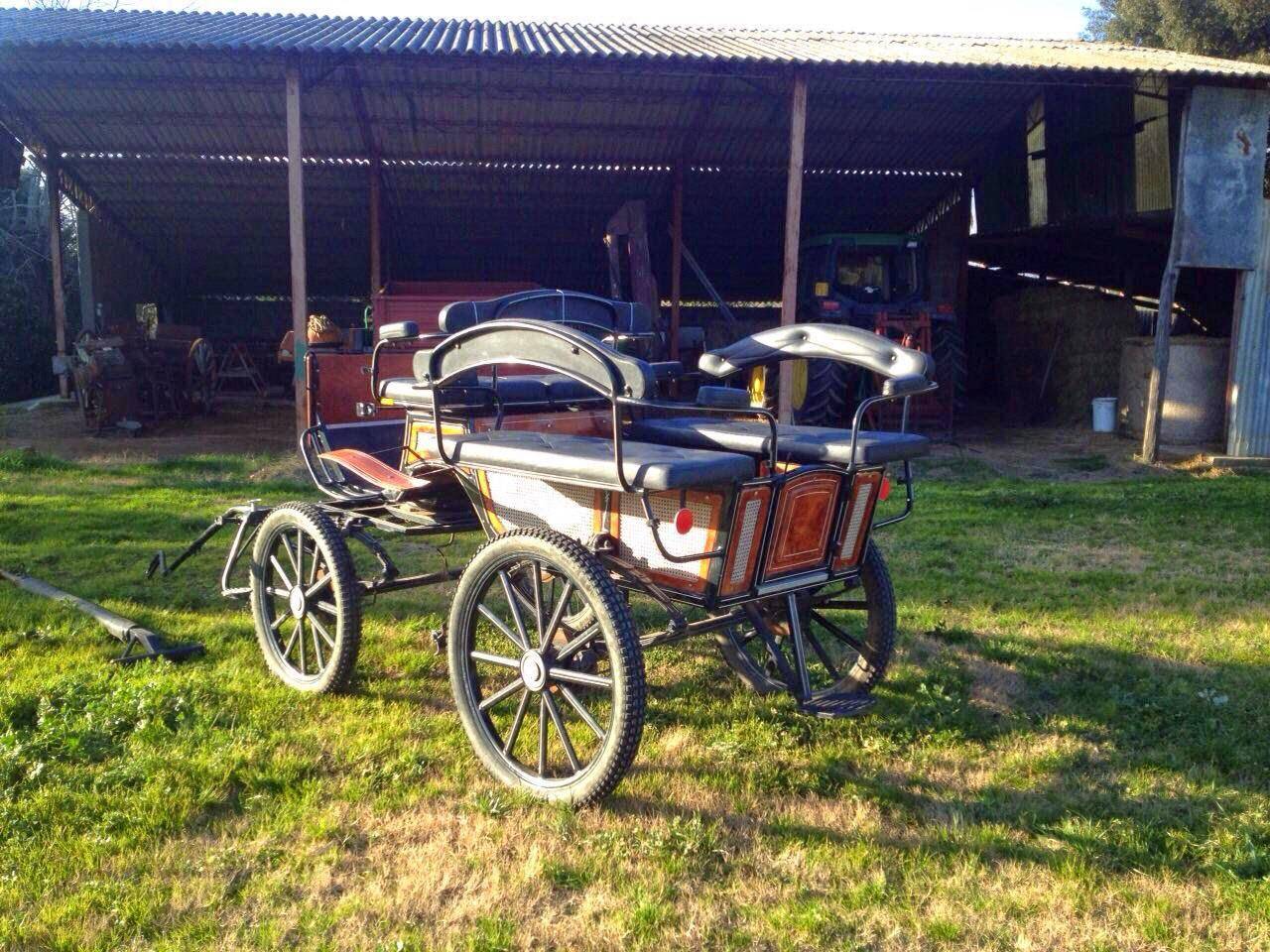 Rijtuigen - Fiacre - Ander merk -  