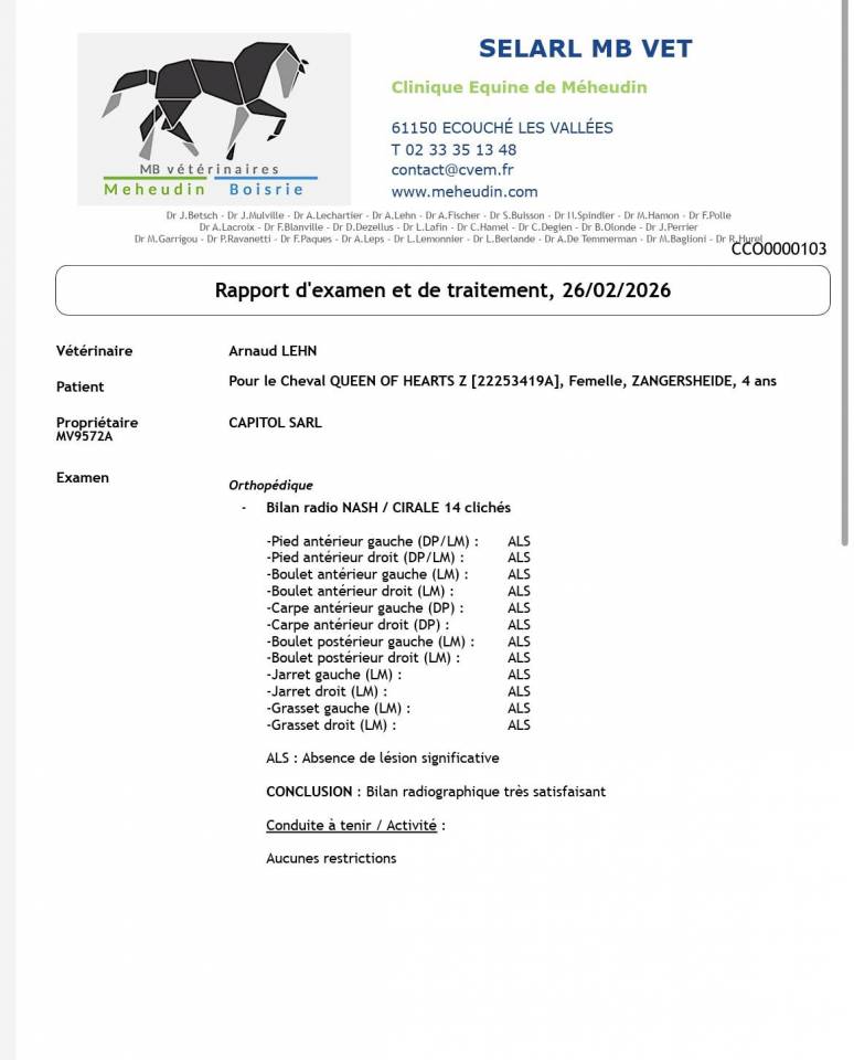 Merrie Zangersheide Te koop 2022 Donker bruin / bai ,  QUINTERO LS
