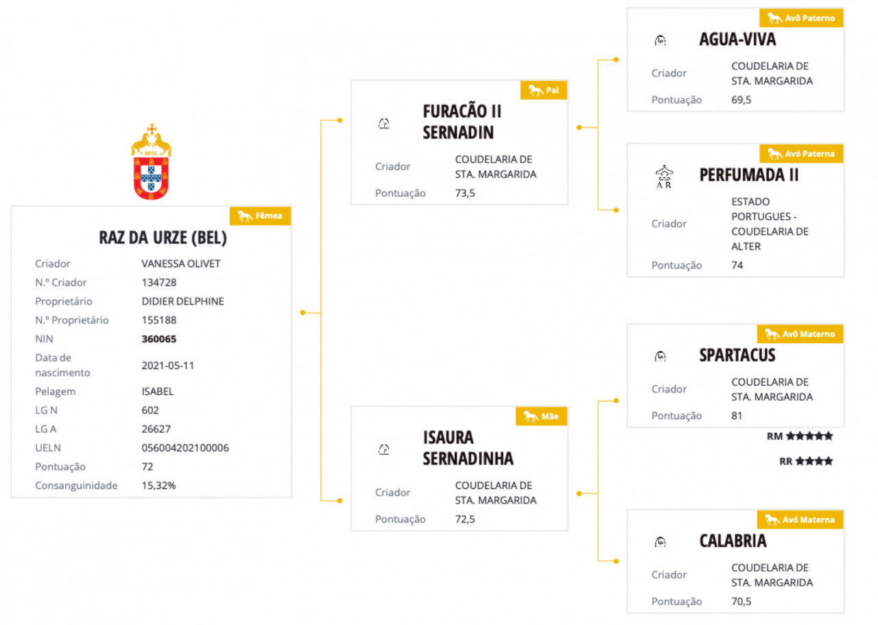 Merrie Lusitano Te koop 2021 Schimmel ,  Furacao II Sernadin