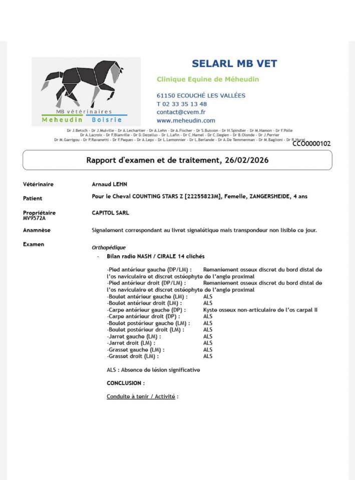 Merrie Zangersheide Te koop 2022 Donker bruin / bai ,  CANTURO