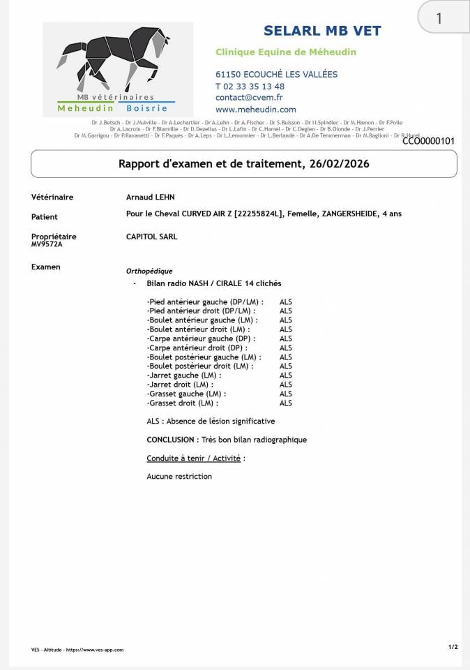 Merrie Zangersheide Te koop 2022 Donker bruin / bai ,  CANTURO