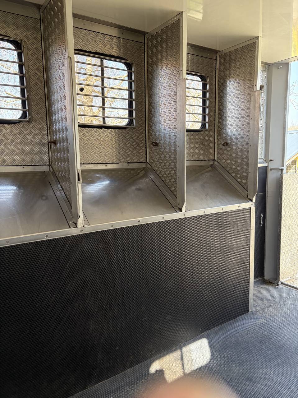 Zware paardenvrachtwagen (groot rijbewijs) Renault  2001 Tweedehands