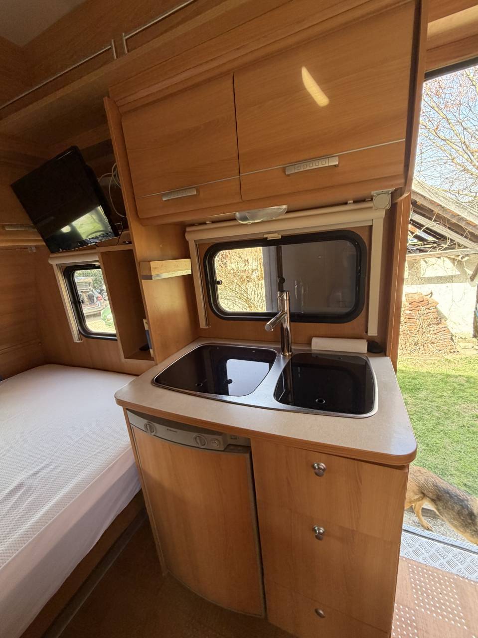 Zware paardenvrachtwagen (groot rijbewijs) Renault  2001 Tweedehands