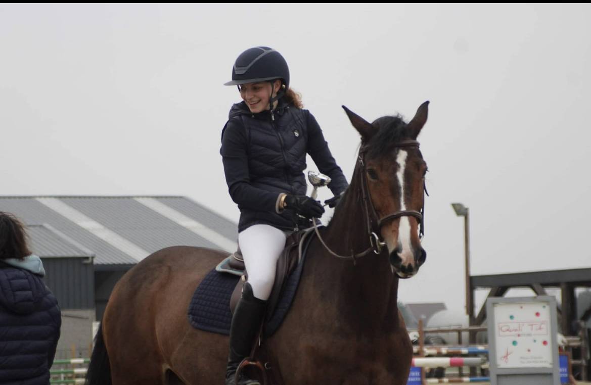 Merrie KWPN Nederlands sportpaard Te koop 2010 Donker bruin / bai