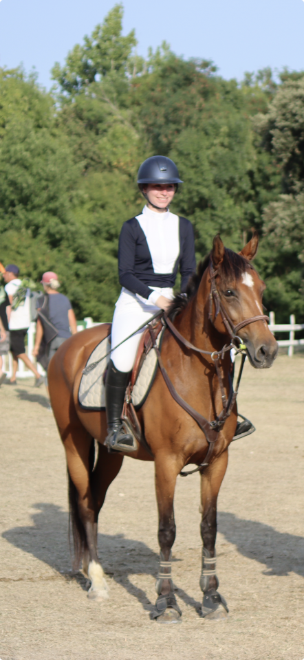 Merrie Franse rijpony PFS Te koop 2015 Donker bruin / bai ,  INTERMEDE A BORD