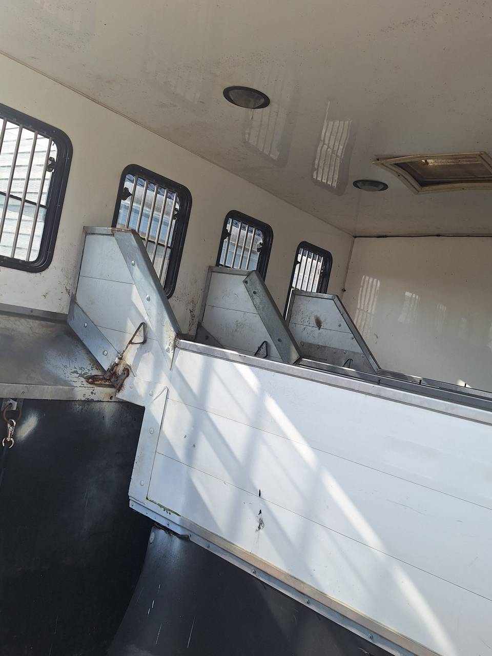 Paardenvrachtwagen 4 paarden Iveco