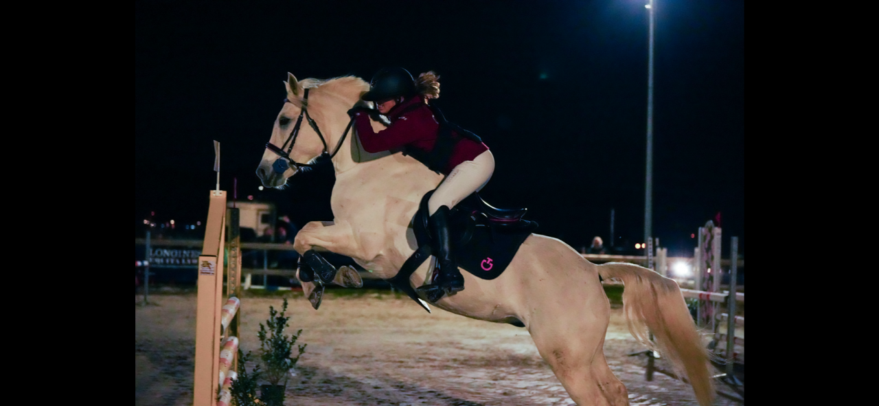 Ruin Connemara Te koop 2011 Schimmel