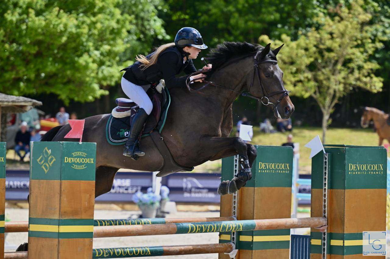 Merrie Trakehner Te koop 2016 Zwart ,  SIR SANSIBAR