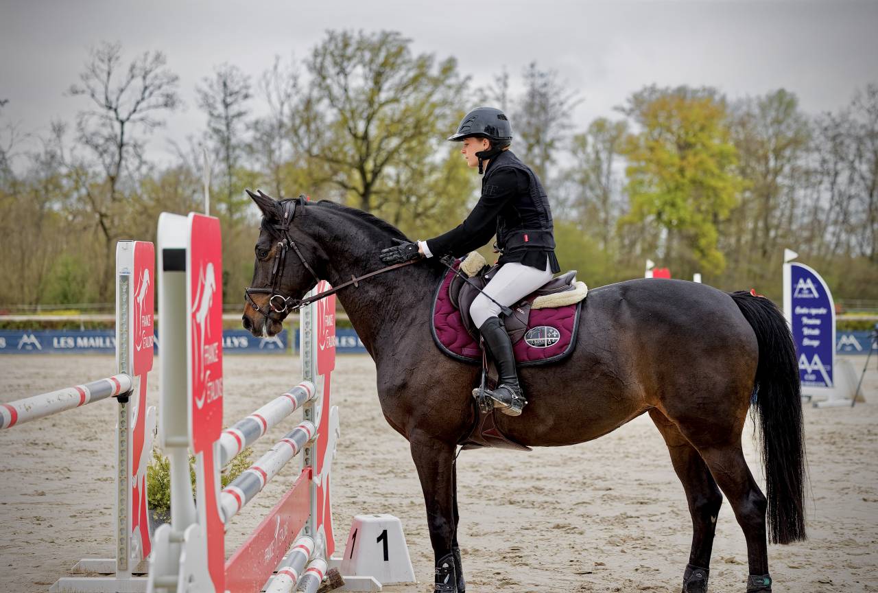Merrie Trakehner Te koop 2016 Zwart ,  SIR SANSIBAR
