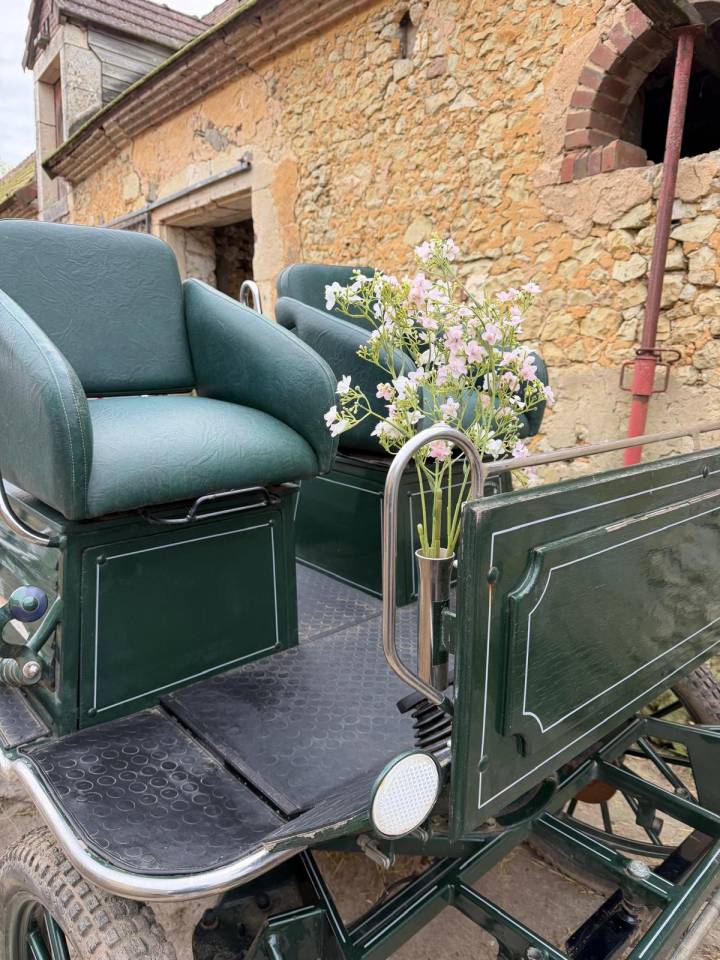 Rijtuigen - Marathon vrijetijd - Ander merk - Marque De Lemerij 