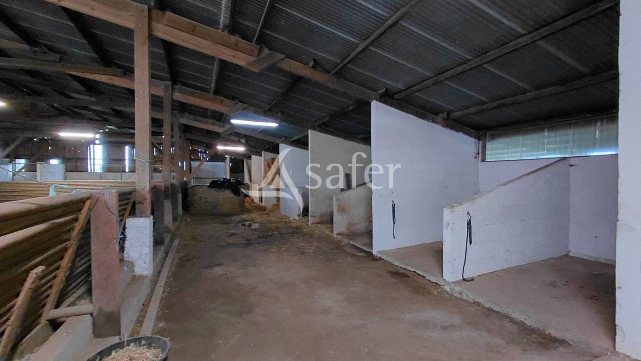 Hippisch vastgoed Koop Deux-S&egrave;vres