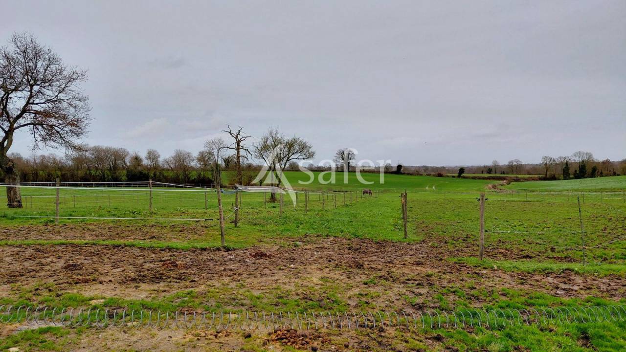 Hippisch vastgoed Koop Deux-S&egrave;vres