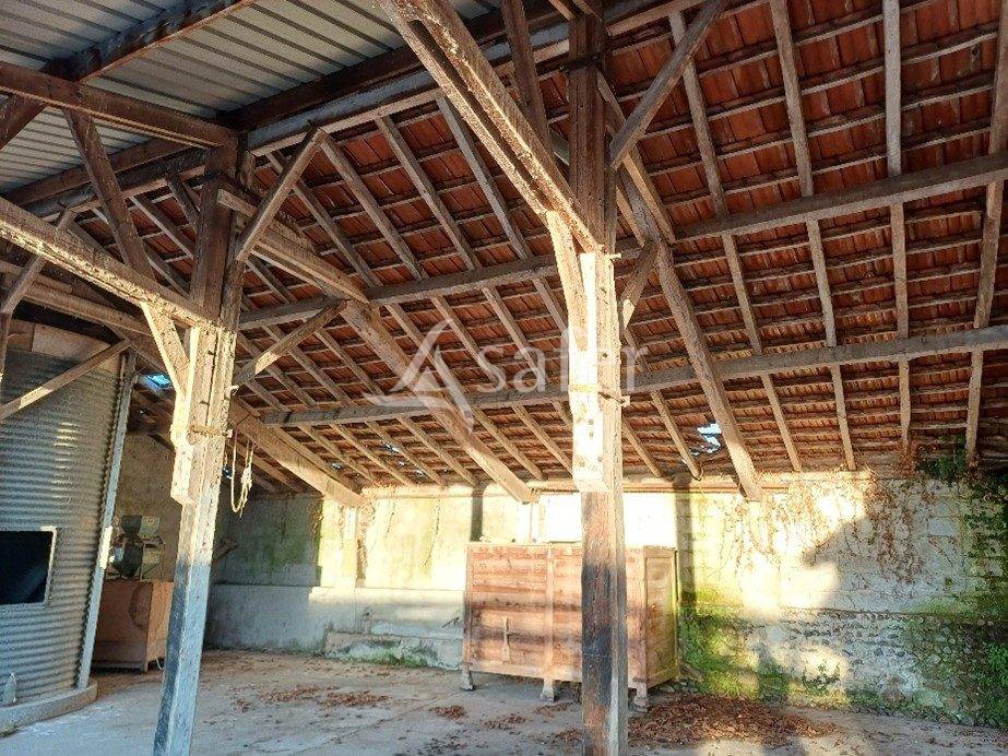 Landbouw bedrijf Koop Landes