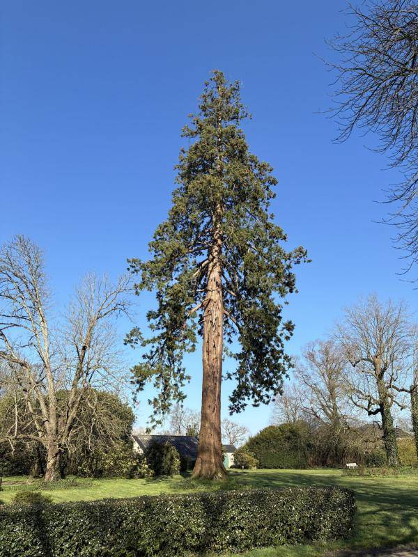 Mooi hippisch vastgoed Koop Vend&eacute;e
