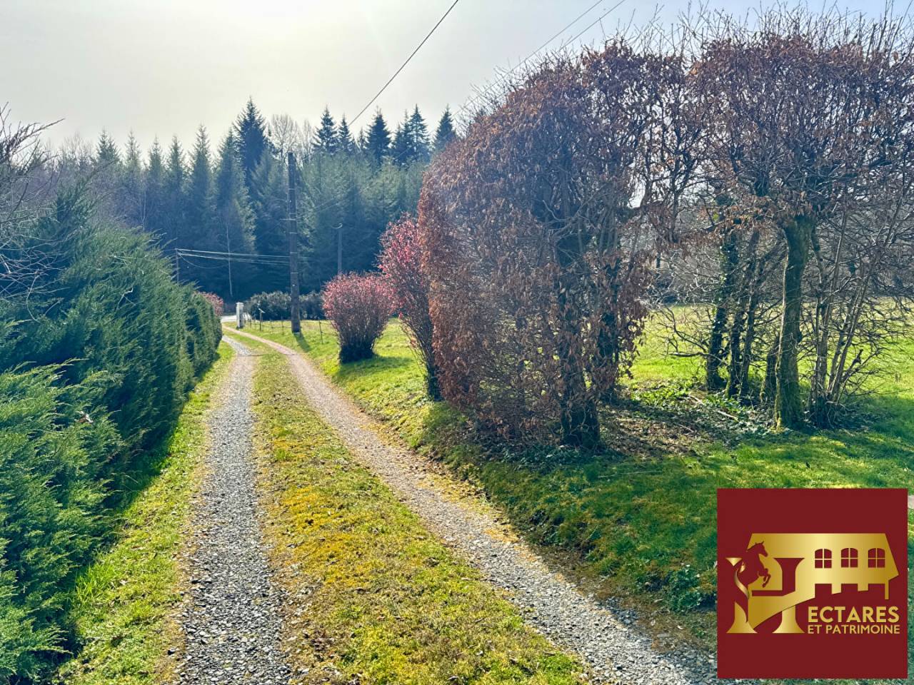 Hippisch vastgoed Koop Corr&egrave;ze