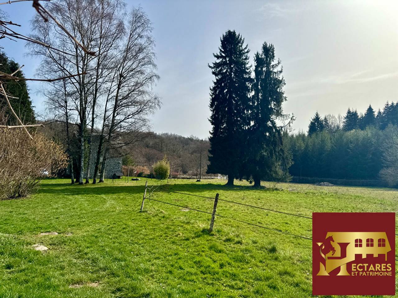 Hippisch vastgoed Koop Corr&egrave;ze