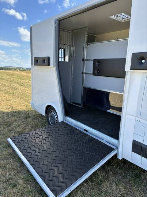 Kleine paardenvrachtwagen (B rijbewijs) Renault MASTER 2021 Nieuw