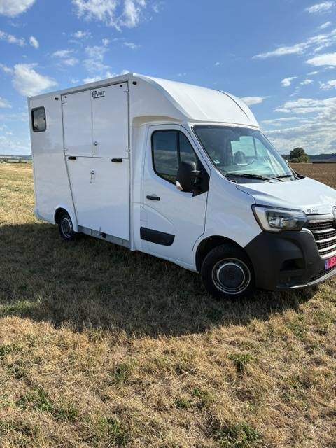 Kleine paardenvrachtwagen (B rijbewijs) Renault MASTER 2021 Nieuw