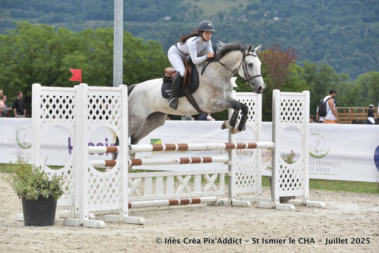 Merrie Zangersheide Te koop 2020 Schimmel