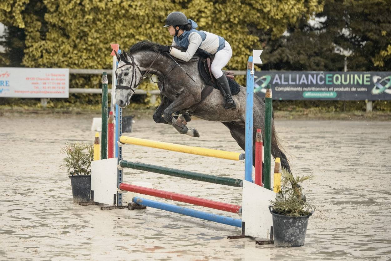 Ruin Bekend ras Te koop 2017 Schimmel ,  ISANDRO TILA WPB