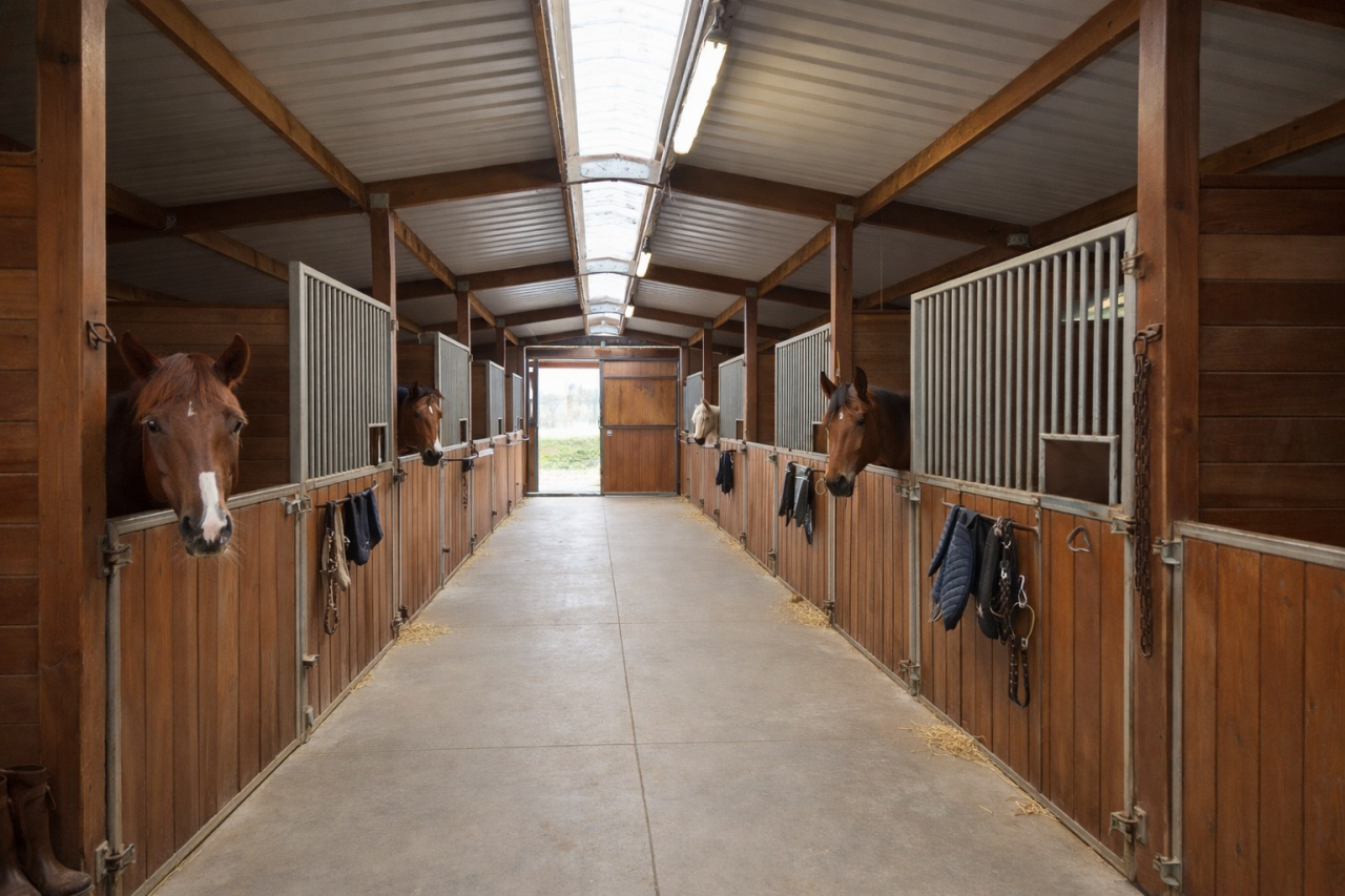 Eigenaren stal Koop Ile-et-Vilaine