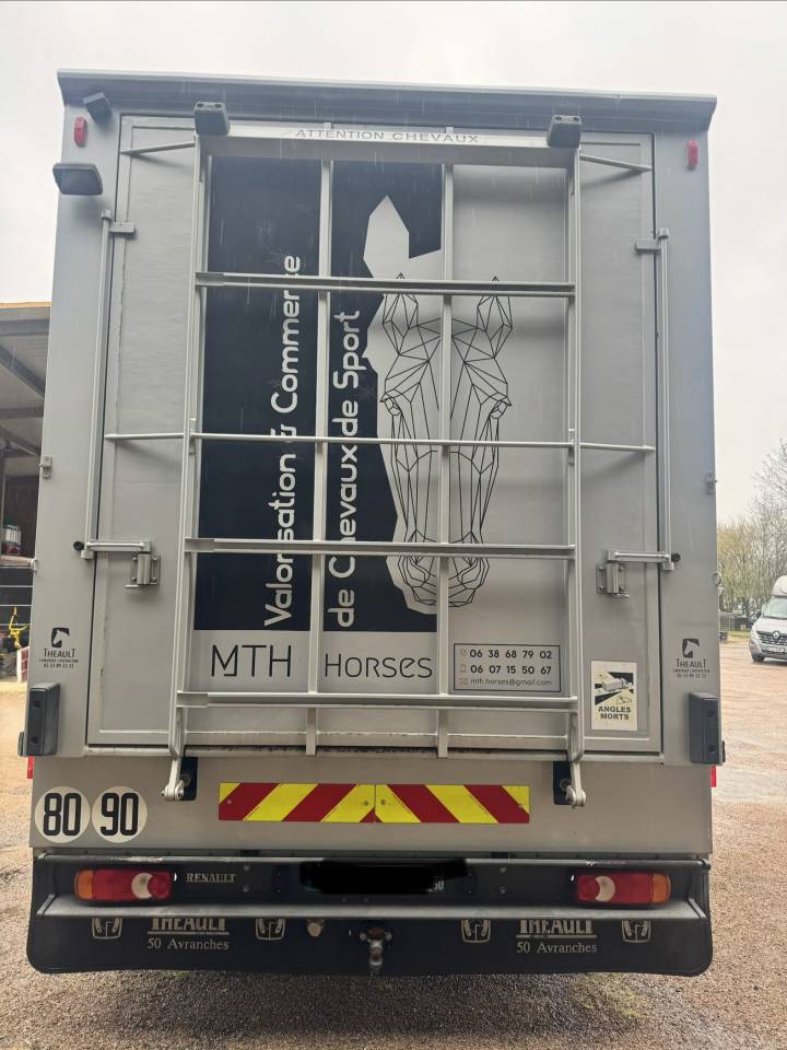 Zware paardenvrachtwagen (groot rijbewijs) Theault  2009 Tweedehands