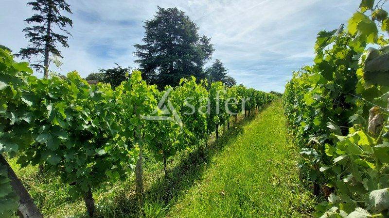 Ander plattelands vastgoed Koop Gironde