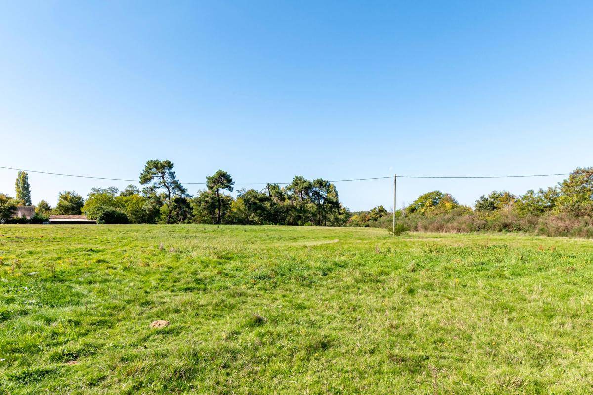 Hippisch vastgoed Koop Sarthe