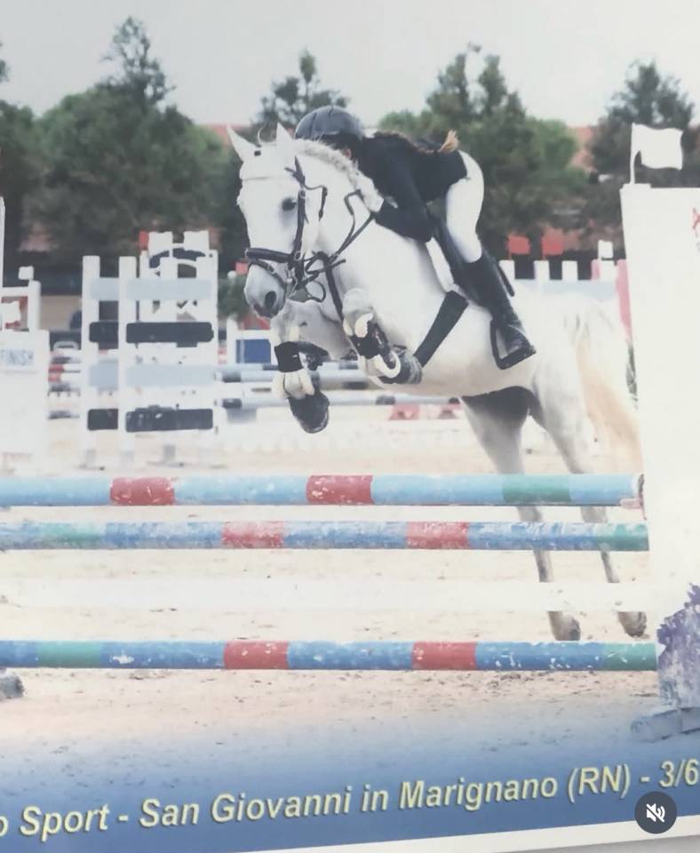Merrie Bekend ras Te koop 2015 Schimmel