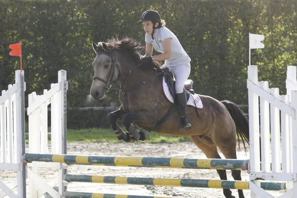 Merrie Franse rijpony PFS Te koop 2025 Isabel ,  Eye catcher de l'ourcq