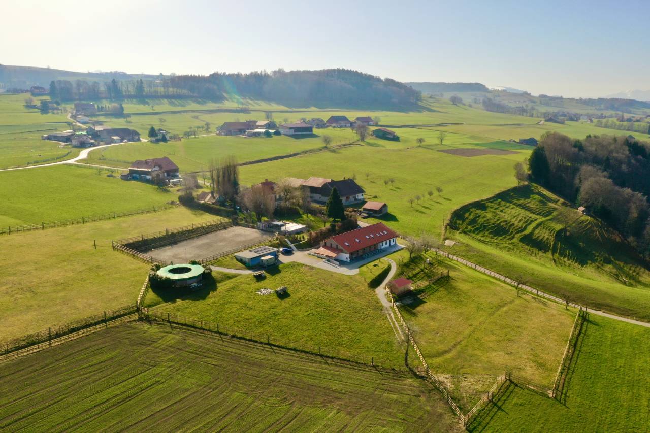 Paarden boerderij Huur Fribourg