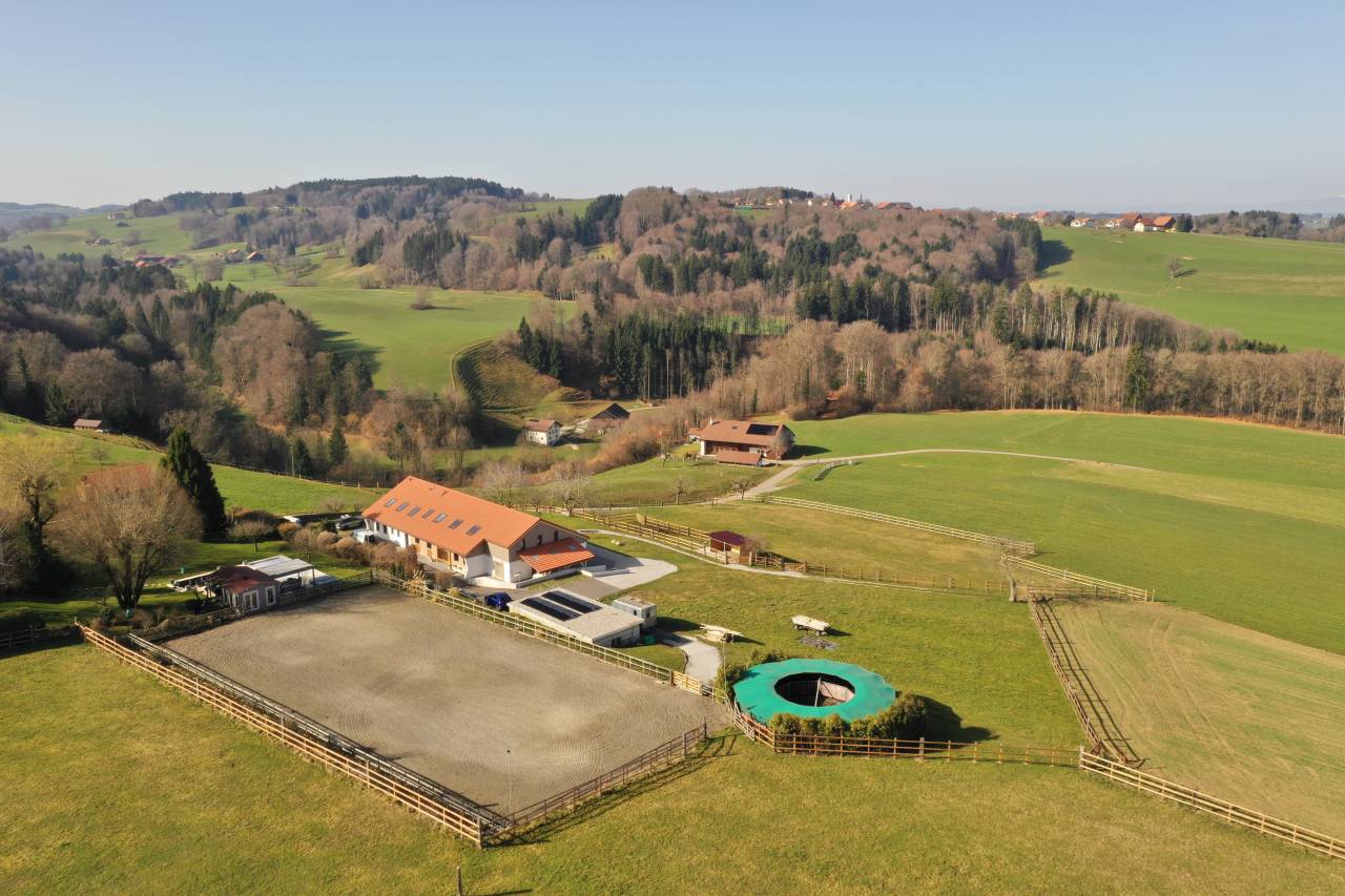 Paarden boerderij Huur Fribourg