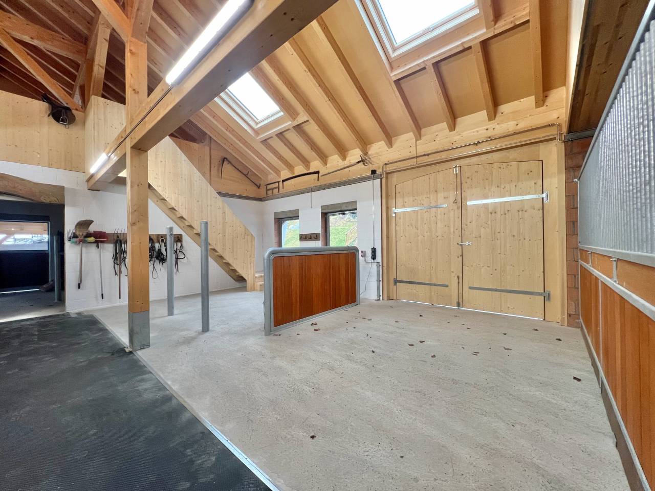 Paarden boerderij Huur Fribourg