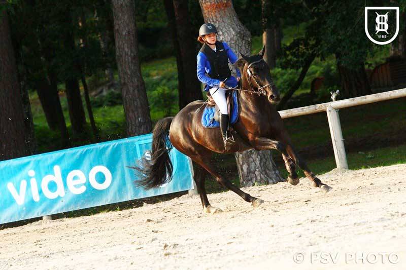 Merrie Selle Fran&ccedil;ais Te koop 2012 Zwart ,  ESPOIR DU PRIEURE