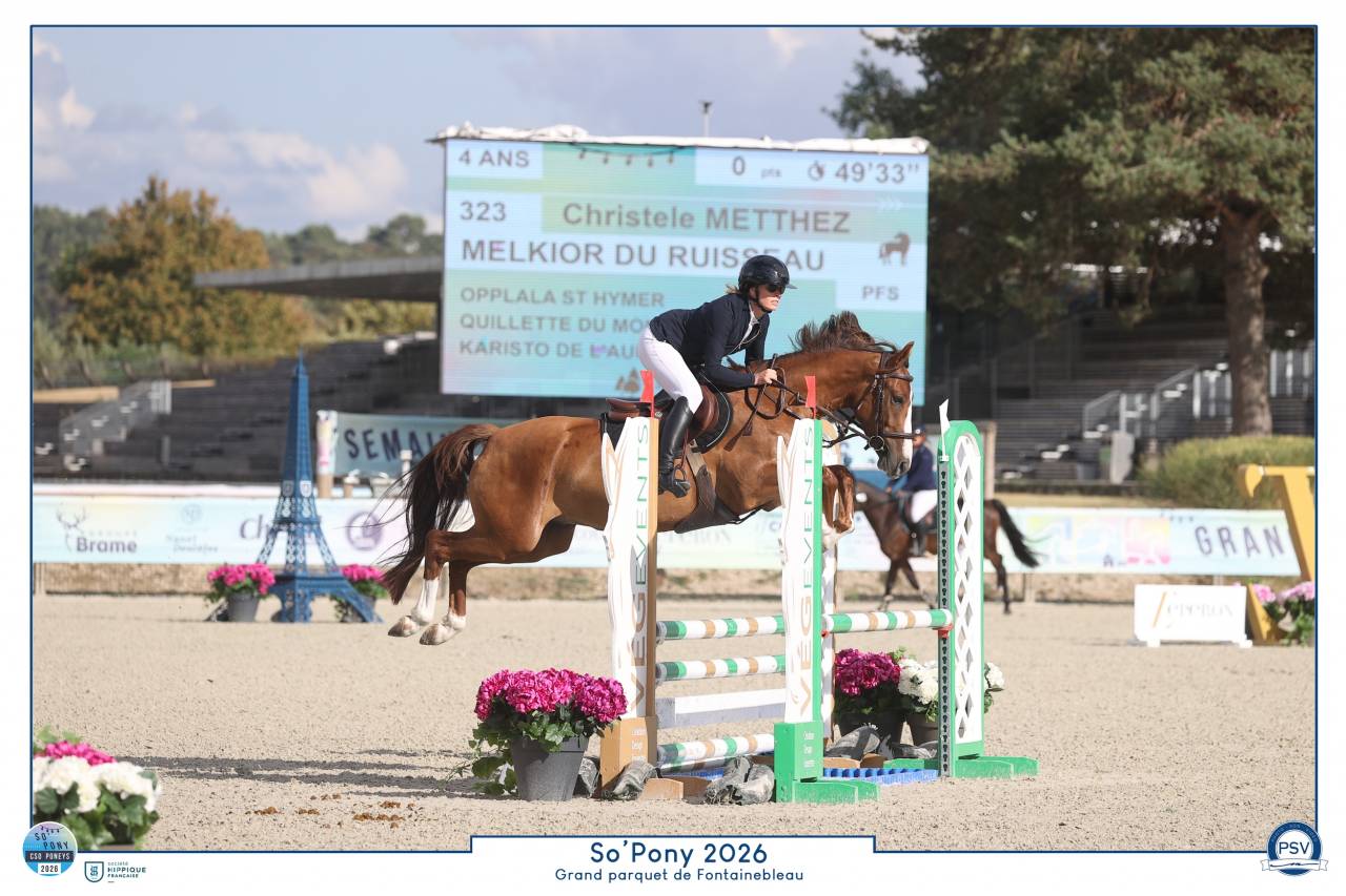 Ruin Franse rijpony PFS Te koop 2022 Koffie vos ,  OPPLALA ST HYMER